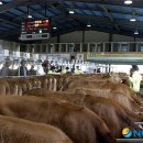 미해축산 이미지