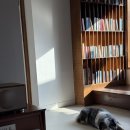 펜션 다락 | 춘천 애견동반 펜션, 금산다락에서 중형견 반려견과 함께한 브라이덜샤워