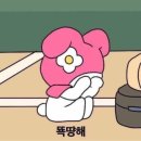 성웅빌딩 | 2025 SMG SHOW 우주최강쇼 | 이화여대 대강당 나열 시야 | 우주최강쇼 후기