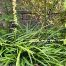 숲놀이 지도사 이미지