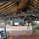 나라메드 | 발리 클럽메드 후기