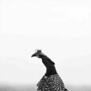 카티(KATI) 이미지