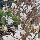 수목농장 이미지