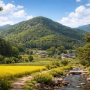 남양시티공인중개사사무소 이미지