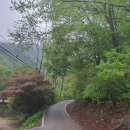 여강길(11코스 동학의길) 이미지