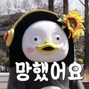 웹젠레드앤 이미지