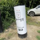 애견 쌀롱 이미지