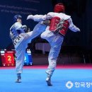 도원태권도체육관 이미지