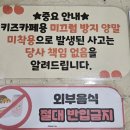 달토 | 대구키즈카페 달토 평일 방문 후기
