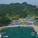 신안철새박물관 이미지