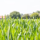 신한아그로 이미지