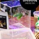 VIP아쿠아카페 네이버블로그