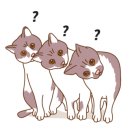 꽁양꽁양