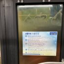 BMW DPF 클리닝. 하남 L2 개러지. 30만 km 320d F31.