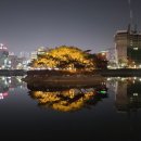 세븐첨단산단 이미지