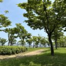 하단동1211 이미지