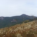 범어사매표소 계단 아래 이미지