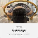울산 중구 헤드 스파 어나더제이뷰티 두피 관리 추천