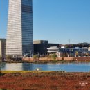 한밭수목원 | 대전 단풍 여행 한밭수목원 후기｜한밭수목원 산책 + 분위기 좋은 카페 에이트