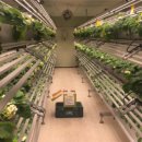 상중농장 이미지