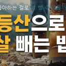 동석산흑염소 네이버블로그