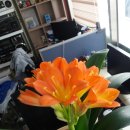 용훈산업 이미지