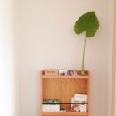 금손언니 이미지