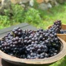 동백어린이집 이미지