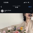 풀풀플라워 이미지