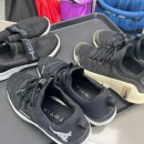 유보라세탁 이미지