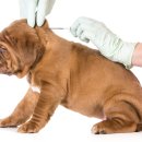 한마음종합동물병원 이미지