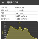 늘재