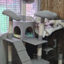 별빛멍냥 이미지