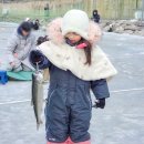 재난경보방송 | 화천 산천어축제 2026 아이랑 가는 법 꿀팁 총정리