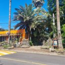 밸리 통나무 빌리지 이미지