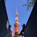 세븐일레븐 가능공원점 | 도쿄타워 포토존 4곳 총정리 - 계단 포토존, 일루미네이션, 시바공원, 세븐일레븐