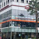 스테이크고릴라 | 마곡 맛집 [고릴라쉐프 마곡본점] 논알콜 하이볼부터 찹스테이크까지 완벽 후기