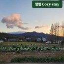 코지스테이(cozy stay) 이미지