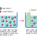 전해질 불균형 전해질 부족 증상 좋은 음식 이미지