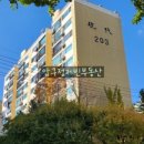 압구정-204 이미지