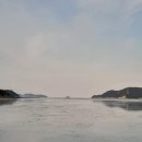 복생도 Daum카페
