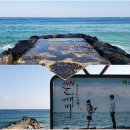 주문진 수산시장 명품건어물 택배 탁월한 선택