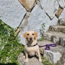 완월동273 이미지