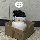 haag 헤이그 벌쓰데이 맨투맨 착용 후기 | 존예 but 10만원은 쫌..근데 예쁨