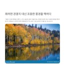 송곡지 | [공주 단풍 명소] 조용한 &#39;불장골저수지&#39; 주차장, 카페 엔학고래 완벽 후기