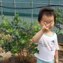 찬우농장 이미지