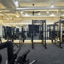 프리미어 피트니스 이미지