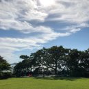 바다가쓴시 이미지