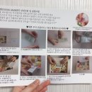 마즈영