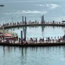 가우도 낚시공원 이미지